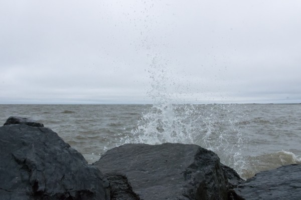 Arctic on the rocks by Laurie Kindred